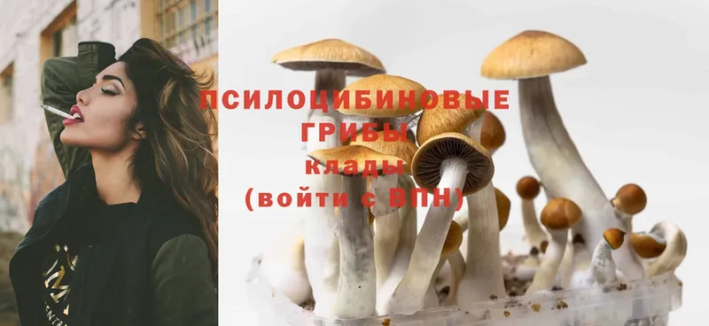 Галлюциногенные грибы MAGIC MUSHROOMS  наркошоп  Амурск 